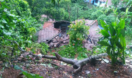 kerala 20 jun 18
